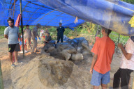 Injured Domestic Elephant In Assam