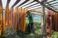 Daily Life In Indonesia