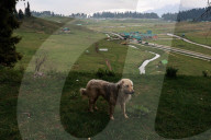 Less Tourists At Famous Ski Resort Gulmarg After Pahalgam Attack