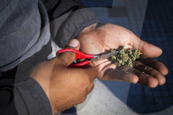 Global Marijuana March: Demanding A New Drug Law In Front Of Congress