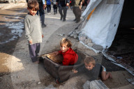 Palestine Refugees 