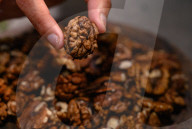 Kashmir Walnut - Popular Dry Fruit In India - Edible Seeds - Akhrot