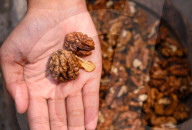 Kashmir Walnut - Popular Dry Fruit In India - Edible Seeds - Akhrot