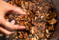 Kashmir Walnut - Popular Dry Fruit In India - Edible Seeds - Akhrot