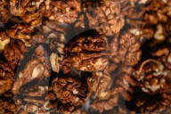 Kashmir Walnut - Popular Dry Fruit In India - Edible Seeds - Akhrot