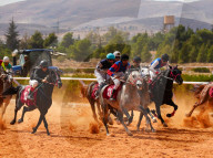 Purebred Arabian Horse Race In Dimas