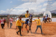 Purebred Arabian Horse Race In Dimas