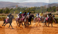 Purebred Arabian Horse Race In Dimas