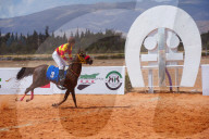 Purebred Arabian Horse Race In Dimas