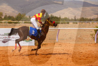 Purebred Arabian Horse Race In Dimas