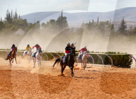 Purebred Arabian Horse Race In Dimas