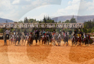 Purebred Arabian Horse Race In Dimas