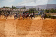 Purebred Arabian Horse Race In Dimas