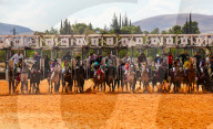Purebred Arabian Horse Race In Dimas