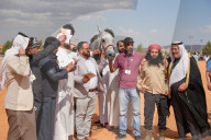 Purebred Arabian Horse Race In Dimas