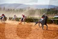 Purebred Arabian Horse Race In Dimas