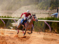 Purebred Arabian Horse Race In Dimas
