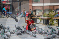 India-Pakistan Border Tensions