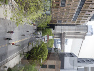 New York Five Boro Bike Tour 2025