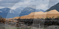 Montana Logging Industry