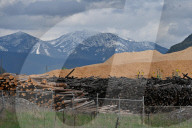 Montana Logging Industry