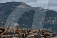 Montana Logging Industry