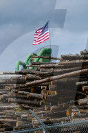 Montana Logging Industry