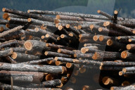Montana Logging Industry