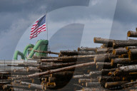 Montana Logging Industry