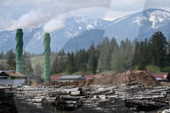 Montana Logging Industry