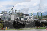 Montana Logging Industry