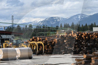 Montana Logging Industry