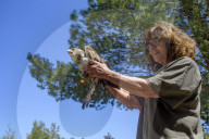 Mount Dionysos wild birds sanctuary release program