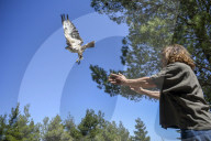 Mount Dionysos wild birds sanctuary release program