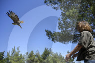 Mount Dionysos wild birds sanctuary release program
