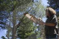 Mount Dionysos wild birds sanctuary release program