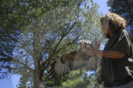 Mount Dionysos wild birds sanctuary release program