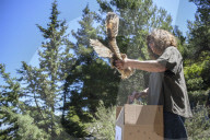 Mount Dionysos wild birds sanctuary release program