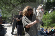 Mount Dionysos wild birds sanctuary release program