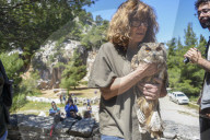 Mount Dionysos wild birds sanctuary release program