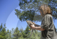 Mount Dionysos wild birds sanctuary release program