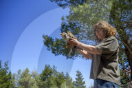 Mount Dionysos wild birds sanctuary release program
