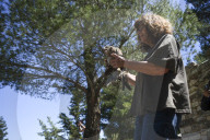 Mount Dionysos wild birds sanctuary release program