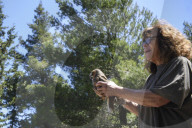 Mount Dionysos wild birds sanctuary release program