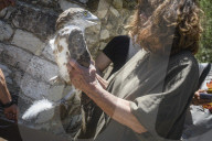 Mount Dionysos wild birds sanctuary release program