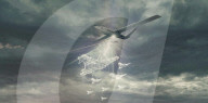 Drone to disable enemy radar systems