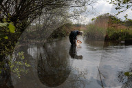 'Irreplaceable habitat': planning bill raises fears for England's chalk streams.