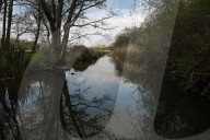 'Irreplaceable habitat': planning bill raises fears for England's chalk streams.