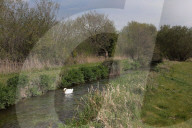 'Irreplaceable habitat': planning bill raises fears for England's chalk streams.