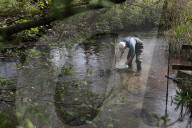 'Irreplaceable habitat': planning bill raises fears for England's chalk streams.